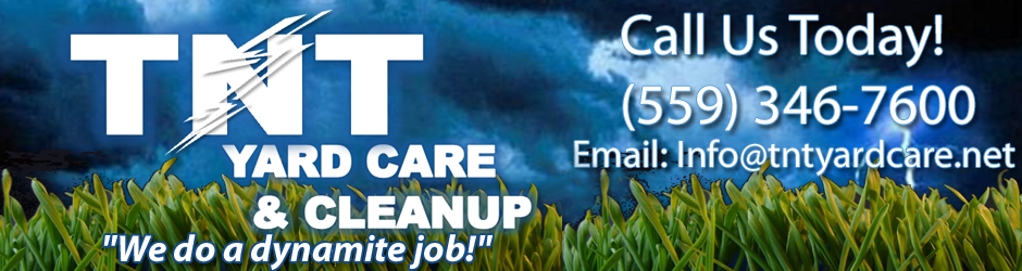 T-N-T Yard Care and Clean-Up Services